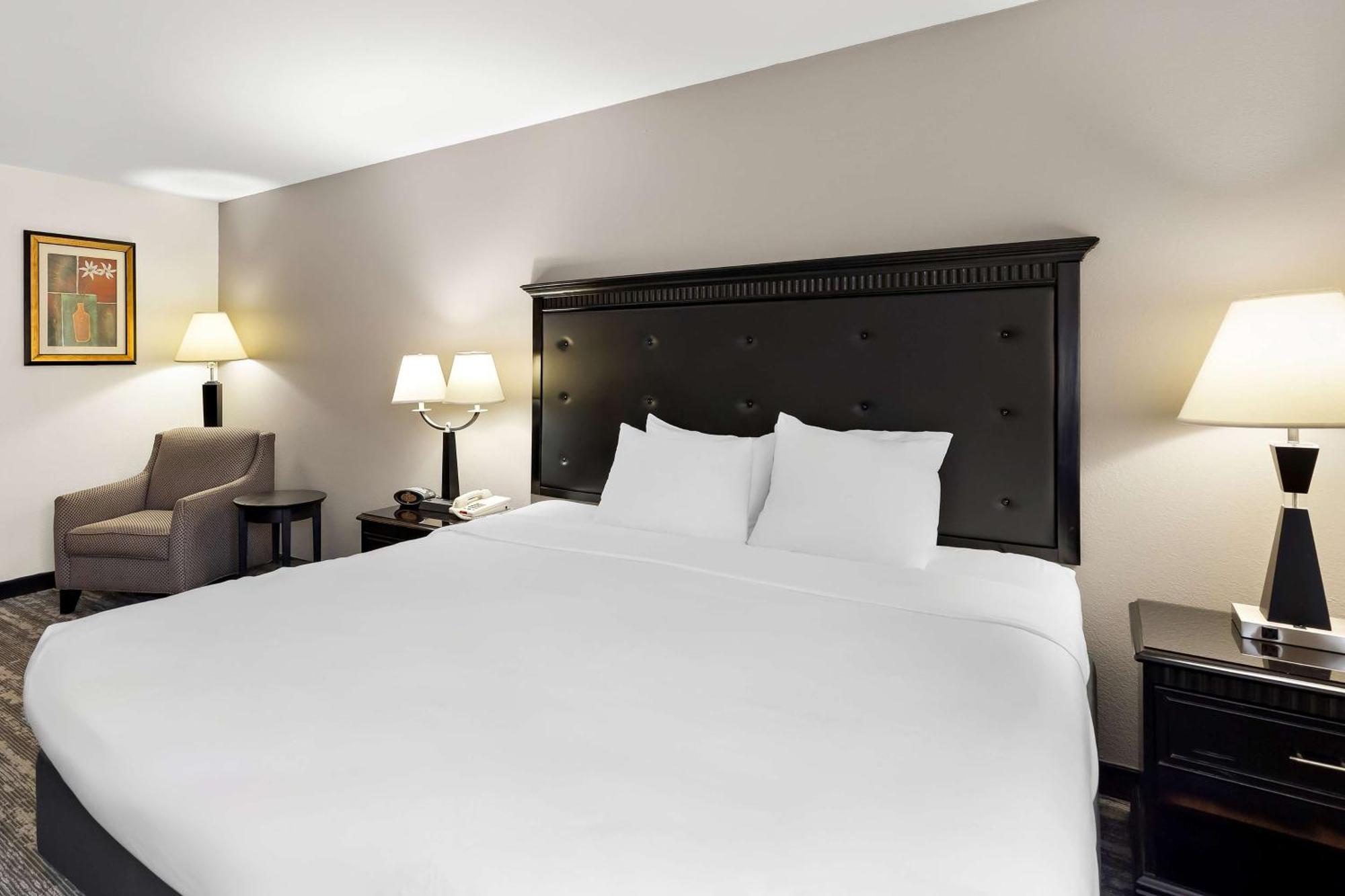 Best Western Saluki Inn Carbondale Eksteriør billede